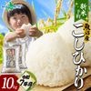 【新米】入荷次第順次発送 令和７年産 魚沼産 コシヒカリ 特A （10kg）精米済み 備蓄 新米予約 新潟産 新潟県産 魚沼産コシヒカリ 魚沼産こしひかり 特A米 お米 5kg お米 10kg 送料無