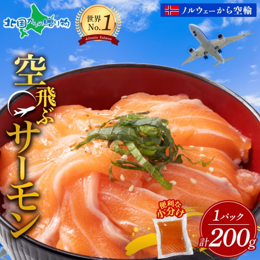 空飛ぶサーモン 200g 青空市場 サーモン MOWI ノルウェー産 泉佐野市 アトランティックサーモン 小分け 送料無料 北国からの贈り物