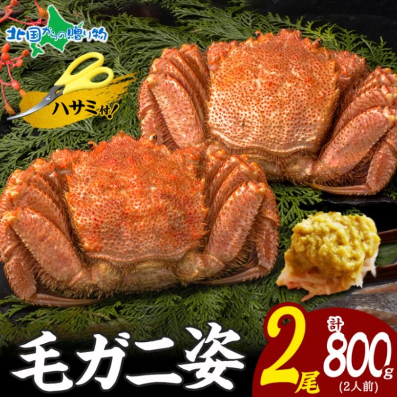 毛ガニ 姿 2尾 計800g 2人前 1尾400g ボイル 蟹身 蟹味噌 かに カニ 蟹 毛蟹 毛がに 毛カニ けがに ケガニ 茹で 蟹みそ かにみそ かに味噌 みそ 蟹肉 お取り寄せ グルメ ギフト 贈答用 お歳暮 正月 お祝い 送料無料 北海道
