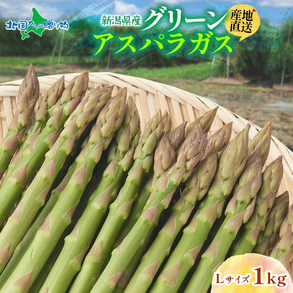 【5月中旬~9月下旬出荷予定】新潟県産 グリーンアスパラガス Lサイズ 1kg 新潟 産直 アスパラガス 新潟県 送料無料 予約販売 北国からの贈り物