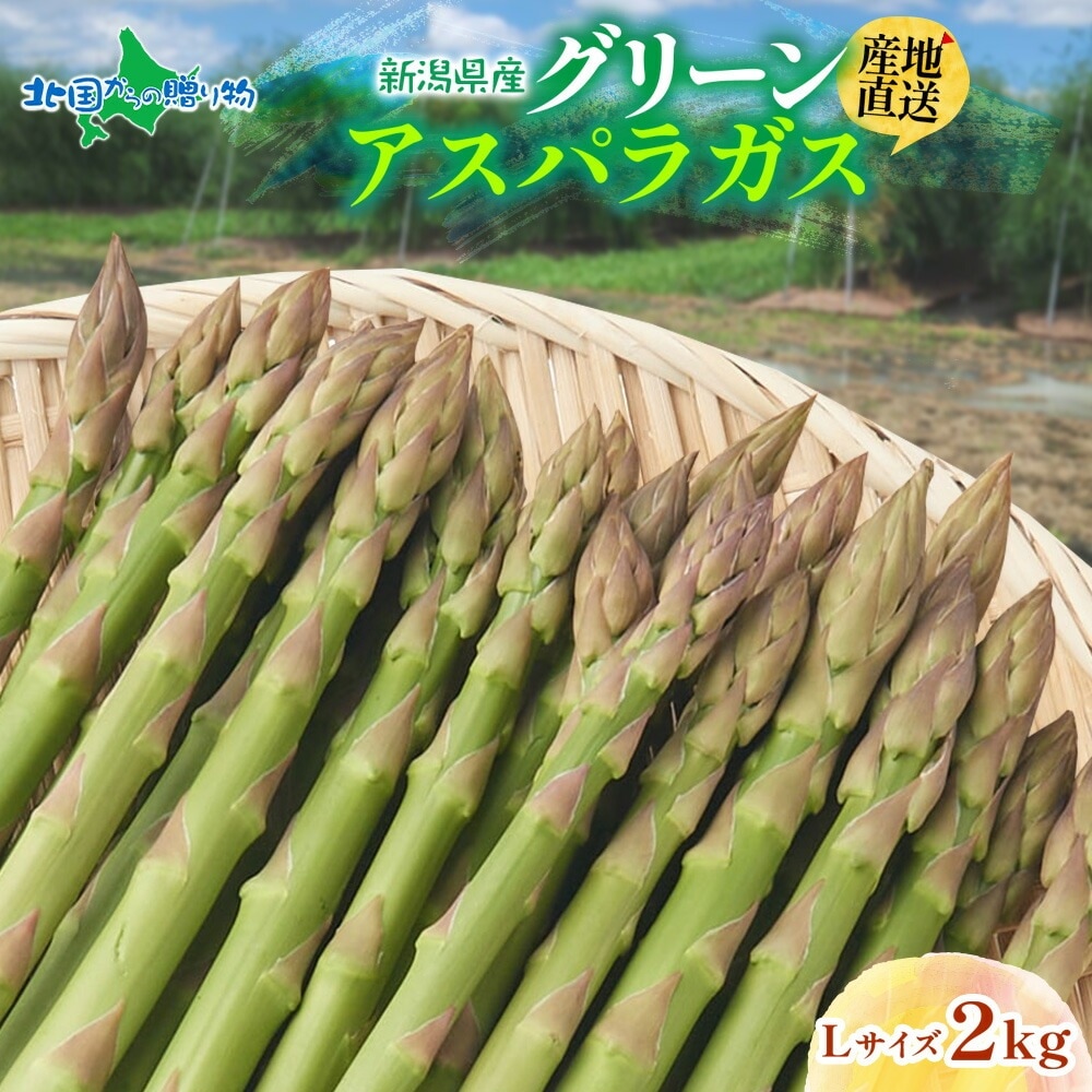 【5月中旬~9月下旬出荷予定】新潟県産 グリーンアスパラガス Lサイズ 2kg 新潟 産直 アスパラガス 新潟県 送料無料 予約販売 北国からの贈り物