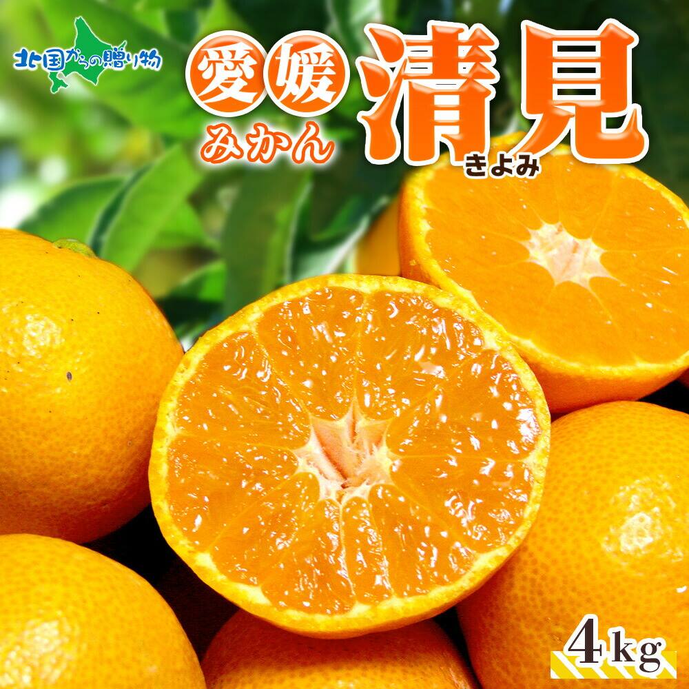 【3月下旬-出荷予定】 愛媛県産 清見 4kg 家庭用 みかん 愛媛 果汁 旬 デザート 八幡市 贈答用 高級 清見 送料無料 北国からの贈り物