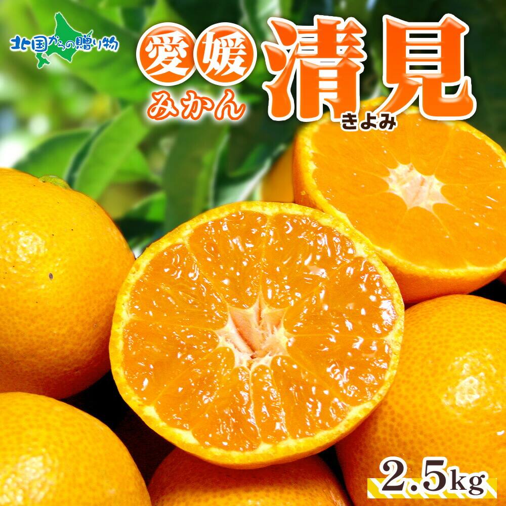 【3月下旬-出荷予定】 愛媛県産 清見 2.5kg 家庭用 みかん 愛媛 果汁 旬 デザート 八幡市 贈答用 高級 清見 送料無料 北国からの贈り物