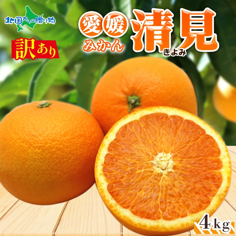 【3月下旬-出荷予定】 愛媛県産 訳あり 清見 4kg 家庭用 みかん 清見 オレンジ お得 お買い得 愛媛みかん 送料無料 北国からの贈り物