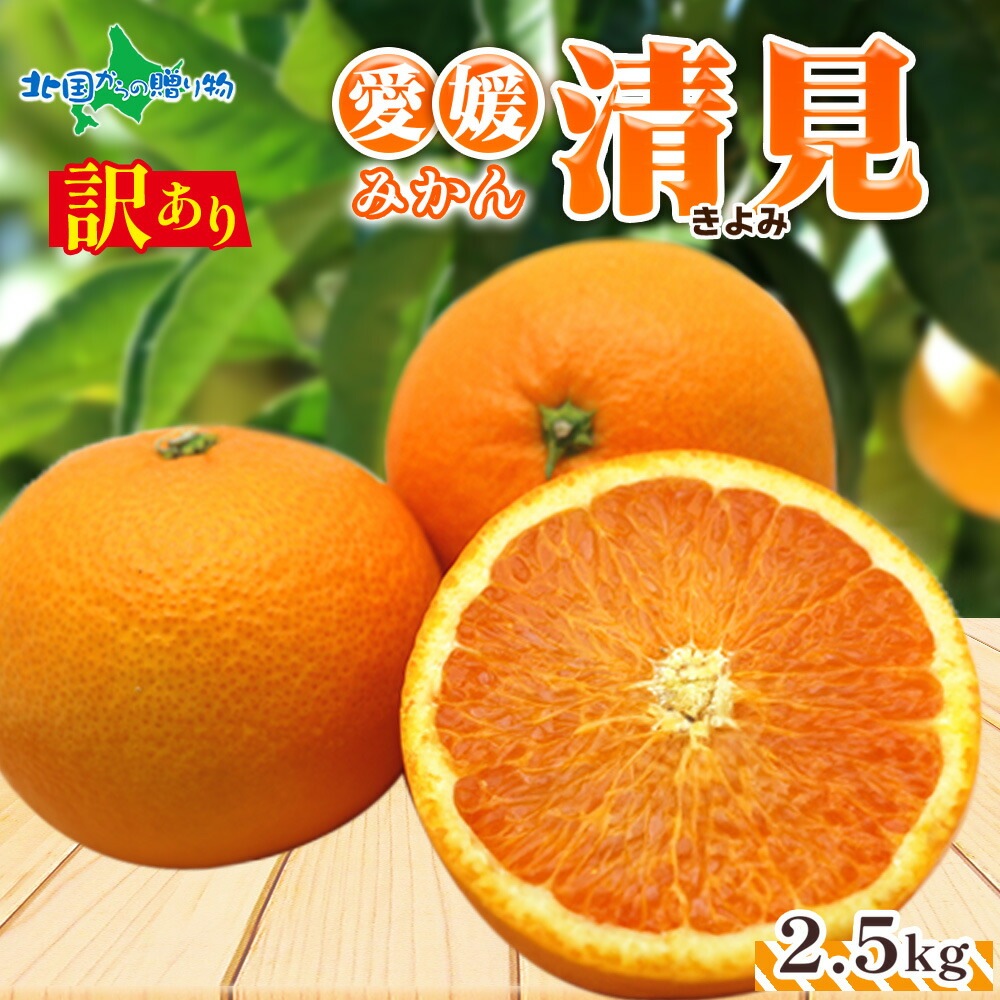【3月下旬-出荷予定】 愛媛県産 訳あり 清見 2.5kg 家庭用 みかん 清見 オレンジ お得 お買い得 愛媛みかん 送料無料 北国からの贈り物