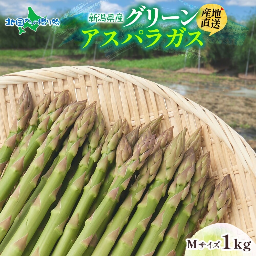 【5月中旬~9月下旬出荷予定】 新潟県産 グリーンアスパラガス Mサイズ 1kg 新潟 産直 アスパラガス 送料無料 予約販売 北国からの贈り物