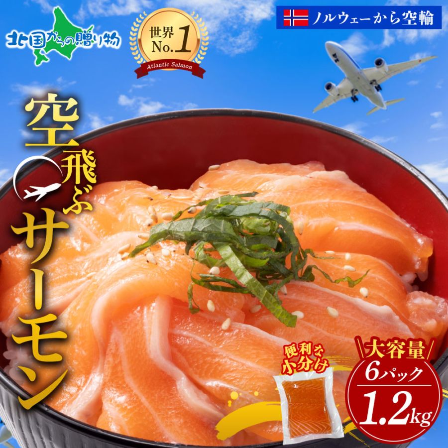 大容量 空飛ぶサーモン 1.2kg 青空市場 サーモン MOWI ノルウェー産 アトランティックサーモン 大容量 ふるさと納税 小分け 便利 高級 ノルウェー サーモン 刺身 冷凍 刺し身 お刺身 サーモン 生食 海鮮丼 海鮮 送料無料 北国からの贈り物