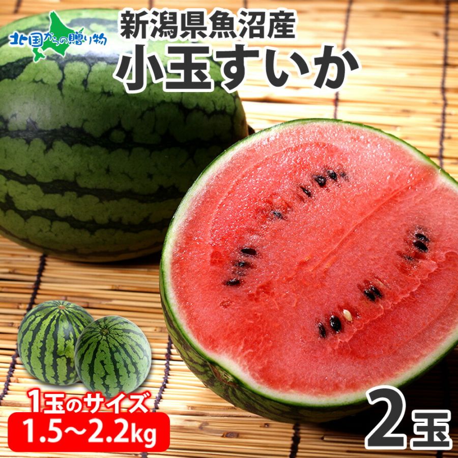 魚沼産 小玉すいか2玉 1玉あたり1.5kg〜2.2kg 国産 すいか 西瓜 こだますいか こだまスイカ 小玉スイカ 薄皮 甘い シャリシャリ 濃厚 ひんやり おやつ デザート 旬の フルーツ 旬の果物 夏 産地直送 送料無料◆出荷予定:7月下旬〜8月上旬