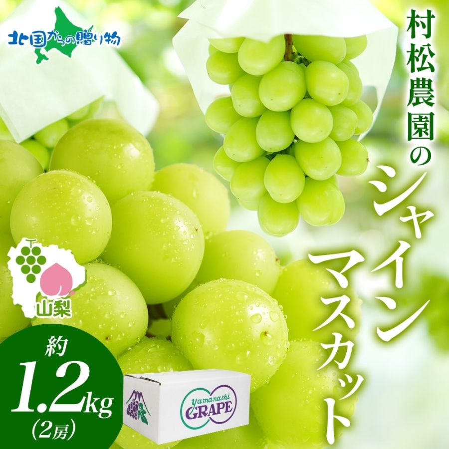 山梨県 笛吹市産 シャインマスカット 約1.2kg 2房 ぶどう ブドウ 葡萄 旬 産地直送 種なし 皮ごと 完熟 果物 山梨県笛吹市 シャインマスカット 山梨 美味しい 贈答 残暑見舞い 敬老の日 ギフト フルーツ 村松農園 送料無料◆出荷予定：9月上旬-9月下旬