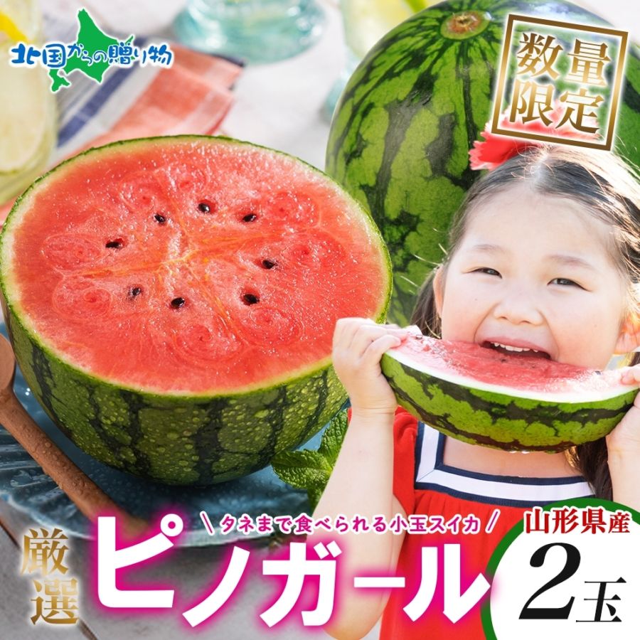 山形県産 小玉すいか ピノガール 2玉 7月中旬-8月上旬 ※100セット限定 産地直送 果物 フルーツ 新鮮 人気 美味しい 贈答 ギフト 暑中見舞い 御中元 お中元 夏ギフト フルーツ ギフト 果物 送料無料 夏休み 夏 fruit スイカ 西瓜 小玉 スイカ 山形 手土産 食べきり