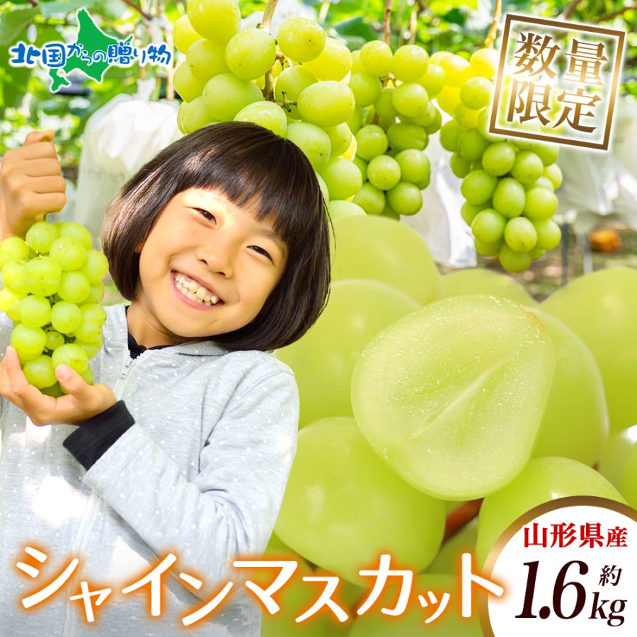 山形県産 シャインマスカット ご家庭用 約1.6kg 2-3房 ※100セット限定 マスカット ブドウ 旬 産地直送 完熟 果物 フルーツ 山形 新鮮 人気 美味しい 贈答 ギフト 父 母 祖父 祖母 誕生日 プレゼント 産直 送料無料 ◆出荷予定：10月中旬-11月中旬