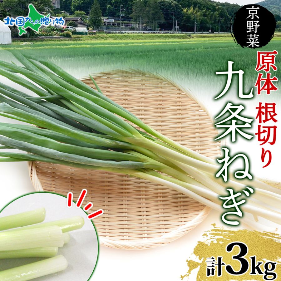 九条ねぎ 原体 根切り 3kg 京のおねぎはん 京野菜 京都府産 葱 ネギ ラーメン うどん 味噌汁 お鍋 ねぎ焼き 薬味 業務用 常備菜 産地直送 お取り寄せ 京都 野菜 送料無料 西陣屋 京都府 亀岡市