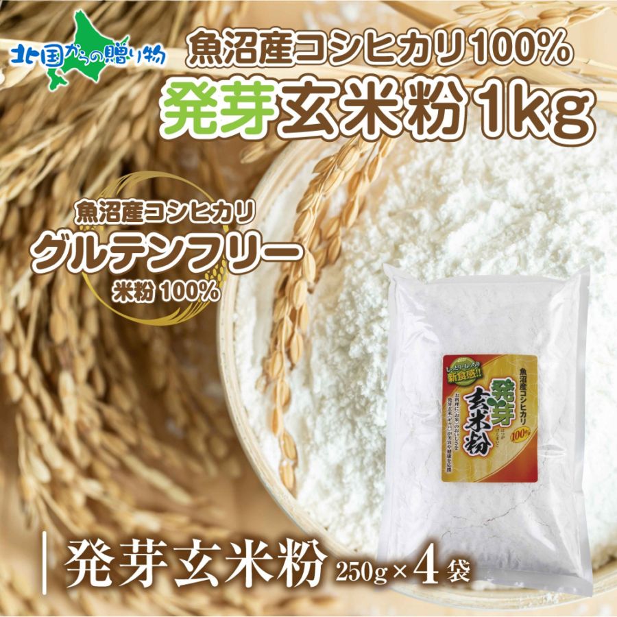 魚沼産 コシヒカリ 発芽玄米粉 1kg グルテンフリー 小麦不使用 大容量 業務用 お菓子 製菓 玄米 白米粉  GABA アレルギー お取り寄せ パン ケーキ 菓子 パン用 製菓用 ギフト 送料無料 国産 コパフーズ 新潟県 お取り寄せ