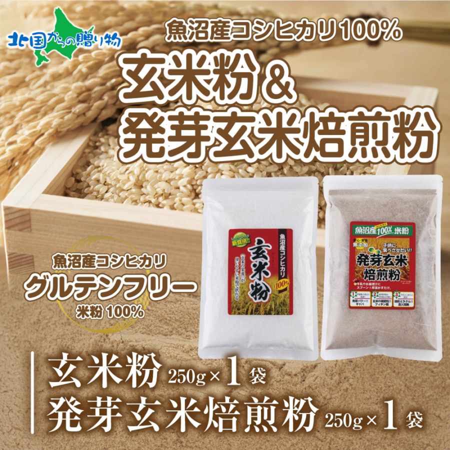 新潟県産 玄米粉 発芽玄米焙煎粉 セット 各250g 計500g 魚沼産 コシヒカリ 玄米 アレルギー グルテンフリー 小麦不使用  GABA 米粉 米 お取り寄せ 詰め合わせ 製菓材料 お菓子作り パン用 製菓用 送料無料 国産 コパフーズ 新潟県 お取り寄せ