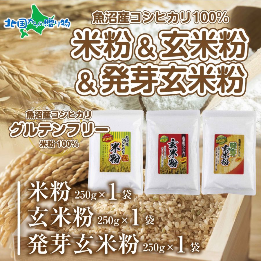新潟県産 米粉 発芽玄米粉 玄米粉 各250g 計750g  魚沼産 コシヒカリ 玄米 アレルギー グルテンフリー 小麦粉 不使用  GABA お取り寄せ 詰め合わせ 製菓材料 パン用 製菓用 送料無料 国産 コパフーズ 新潟県 お取り寄せ
