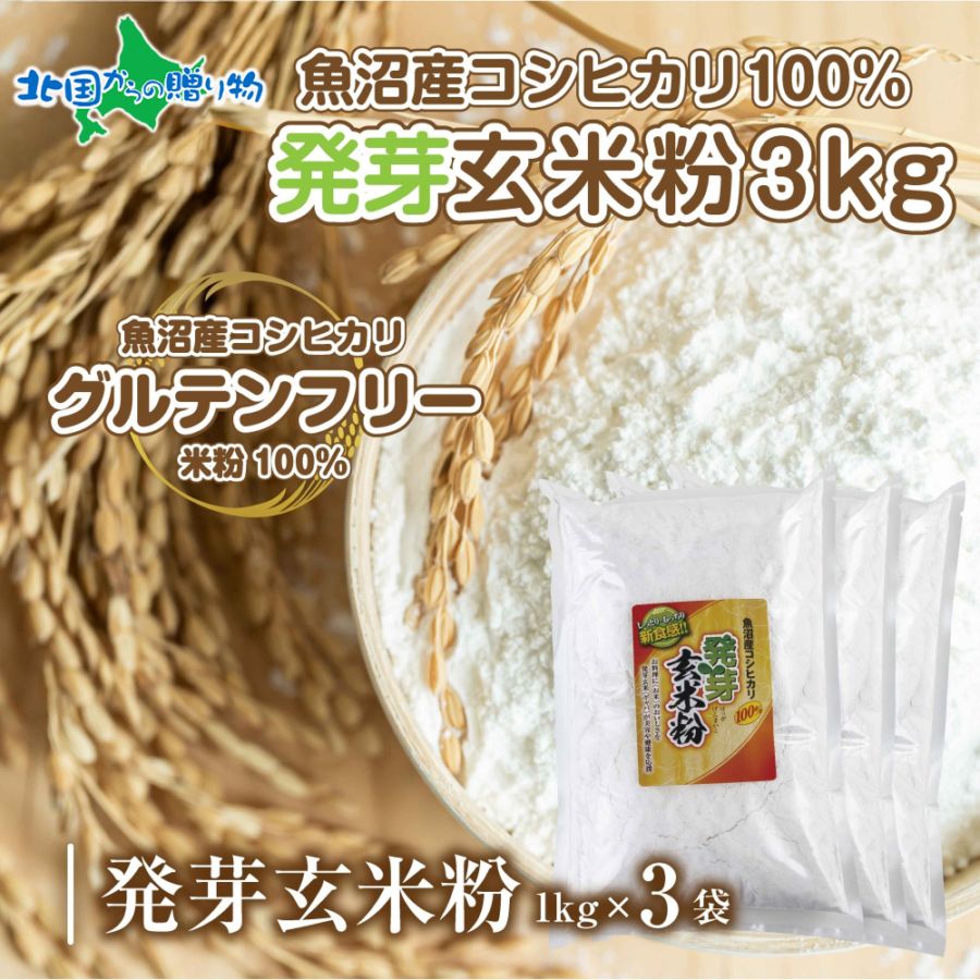 魚沼産 コシヒカリ 発芽玄米粉 3kg グルテンフリー 小麦不使用 大容量 業務用 お菓子 製菓 玄米 白米粉  GABA アレルギー お取り寄せ パン ケーキ 菓子 パン用 製菓用 ギフト 送料無料 国産 コパフーズ 新潟県 お取り寄せ