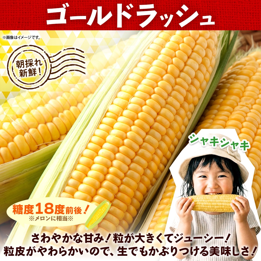 北海道産 とうもろこし食べ比べ！ゴールドラッシュ ピュアホワイト 20本