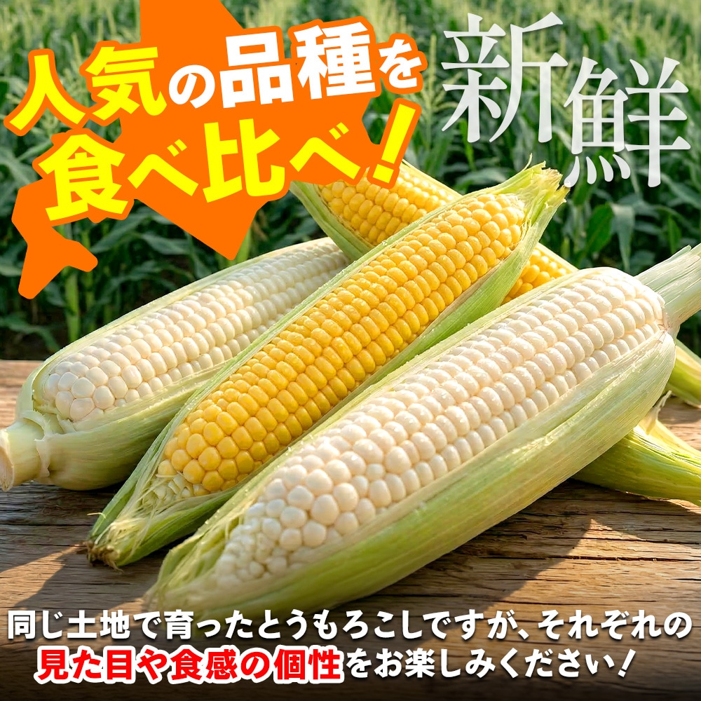 北海道産 とうもろこし食べ比べ！ゴールドラッシュ ピュアホワイト 20本