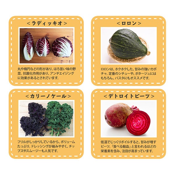 スーパーでは見かけない ヨーロッパ野菜をご家庭で 北海道の通販
