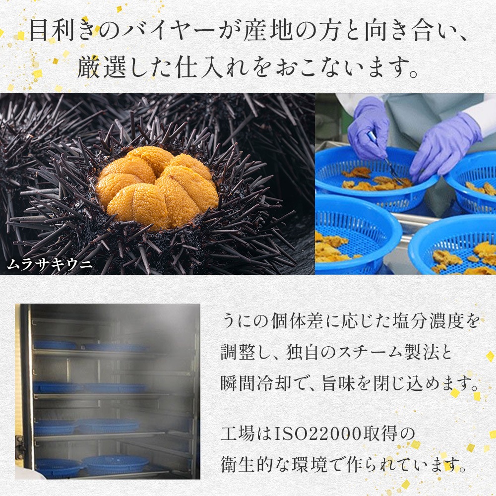 幸雲丹 80g うに専門店 世壱屋 ムラサキウニ 北海道産 幸福雲丹 雲丹