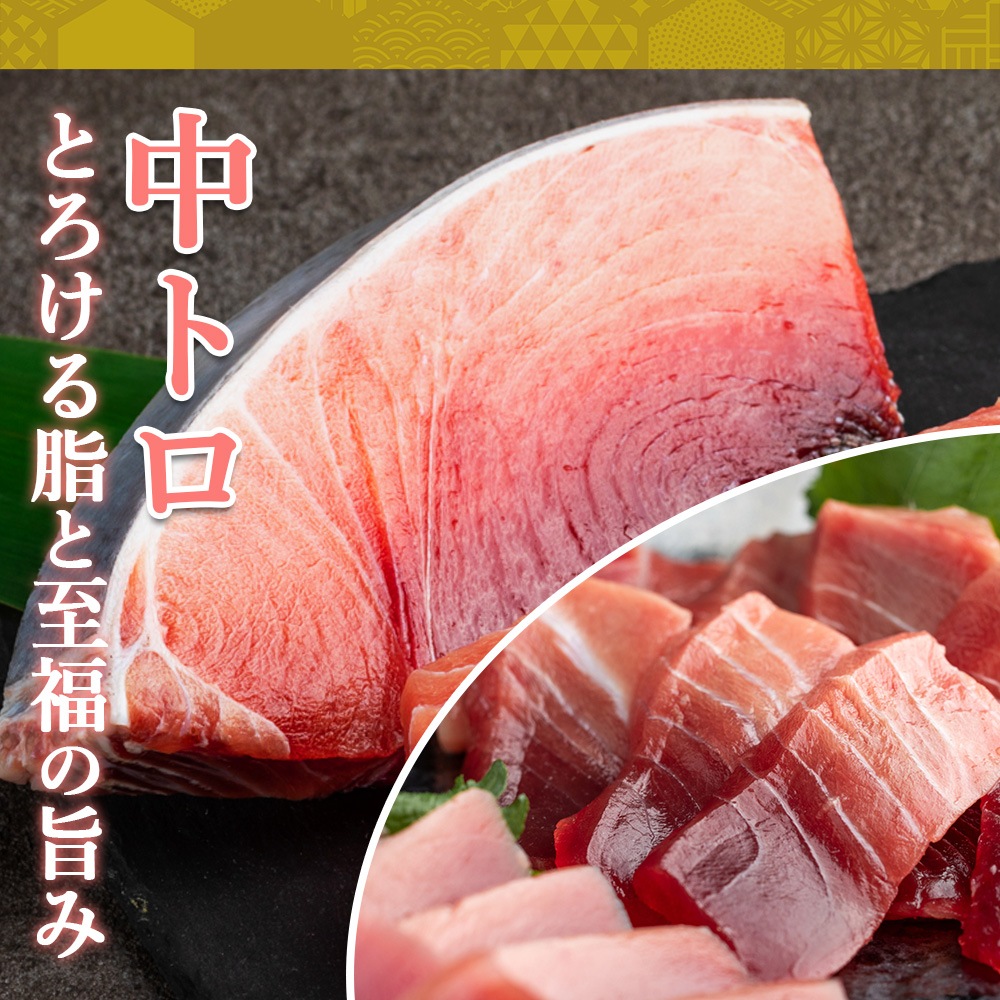 『格安出品』reas1 美品　マクロ各種set 格安出品』reas1 美品 マクロ各種set まぐろ大間産 天然本マグロ 赤身