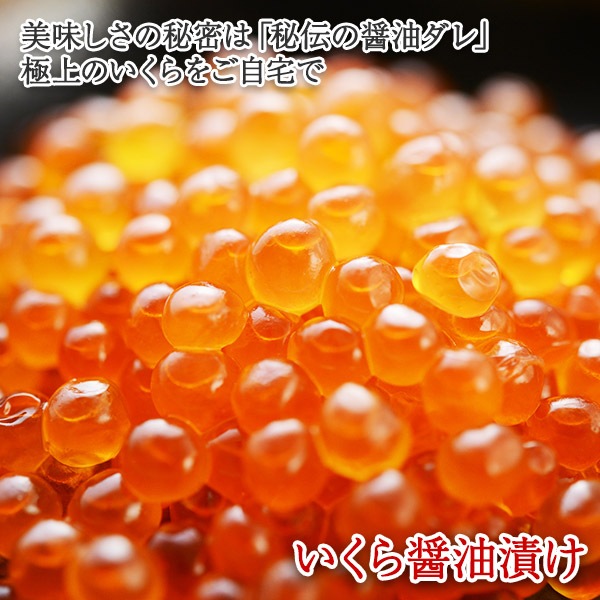 Ҥ 200g 1/2ġ   餷礦Ҥ Ҥ ե    ե 󤻥  ץ쥼  ե  £ʪ   ʪ ե   ե ڻ ̵