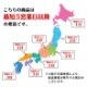 渵 ե   ̳ƻͭ̾Ź顼5å ж ե 顼 ̳ƻ ڻ 顼󥻥å ʪ 顼 ͭ̾Ź      ߸/ ̣ /   顼 ե ̵