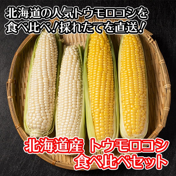  ̳ƻ ȥ ٥å  11 Ȥ/BBQ/С٥塼//ۥ磻ȥ/ȥ// ̵вͽꡧ8-9 Բ