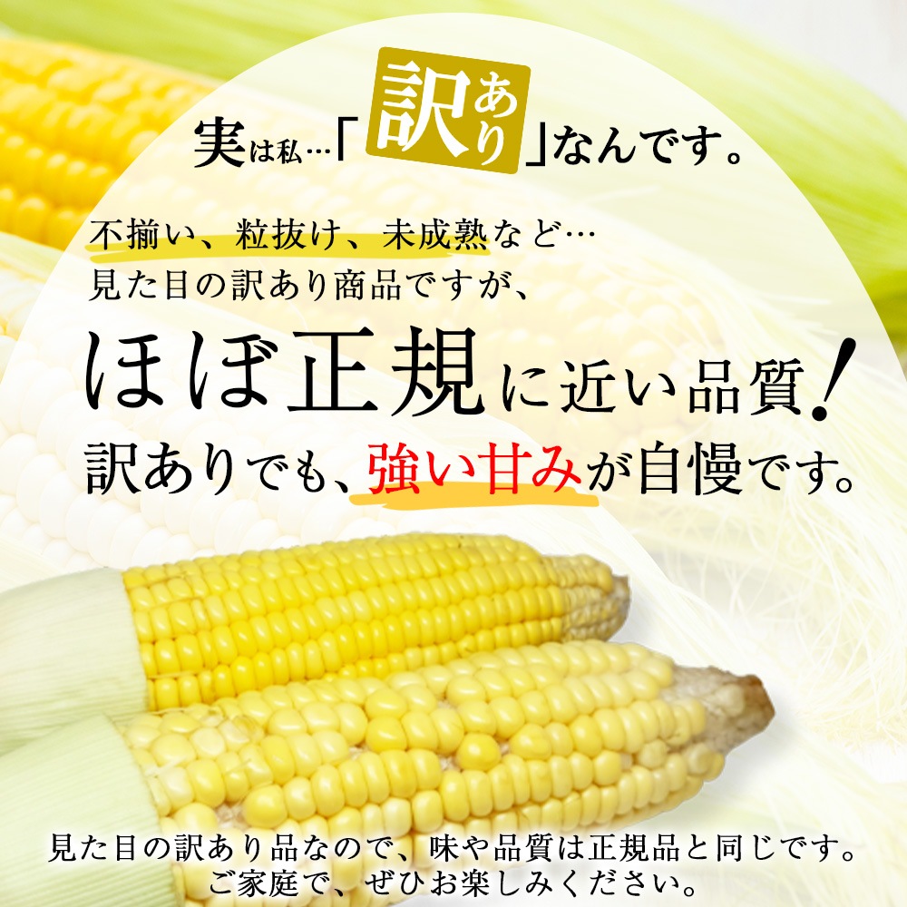  ̳ƻ ȥ ٥å  11 Ȥ/BBQ/С٥塼//ۥ磻ȥ/ȥ// ̵вͽꡧ8-9 Բ
