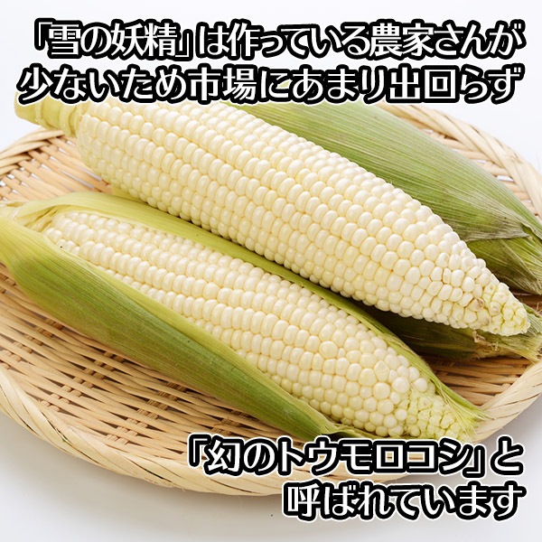  ̳ƻ ȥ ٥å  11 Ȥ/BBQ/С٥塼//ۥ磻ȥ/ȥ// ̵вͽꡧ8-9 Բ