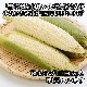 ̳ƻ ȥ ٥å  11 Ȥ/BBQ/С٥塼//ۥ磻ȥ/ȥ// ̵вͽꡧ8-9 Բ