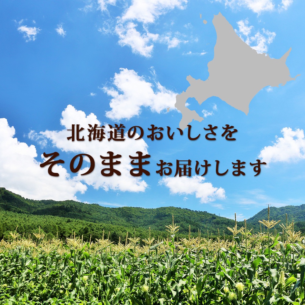 Τޤޥɥ󥹡20 󥹡 160g ΤޤSONOMAMA ɥå    ݥ Ȥ ̳ƻ   ե ͤ碌 ñ 뿩 ڿ ̵ 5000 󤻥 ޤȤ㤤 corn soup