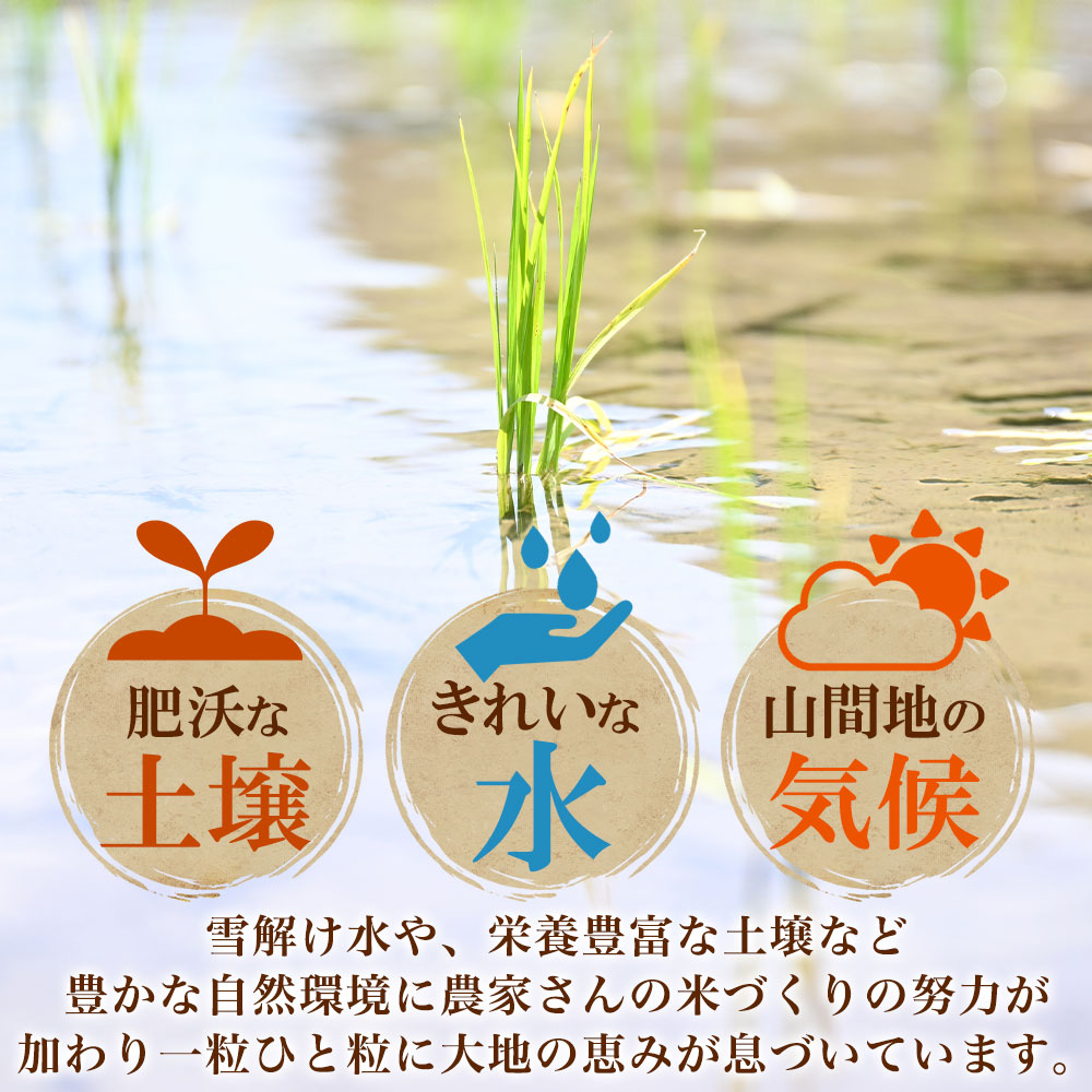 令和7年産】魚沼産 コシヒカリ 特A （精米5kg） 新潟県産 備蓄 魚沼