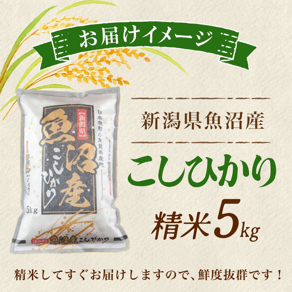 令和7年産】魚沼産 コシヒカリ 特A （精米5kg） 新潟県産 備蓄 魚沼