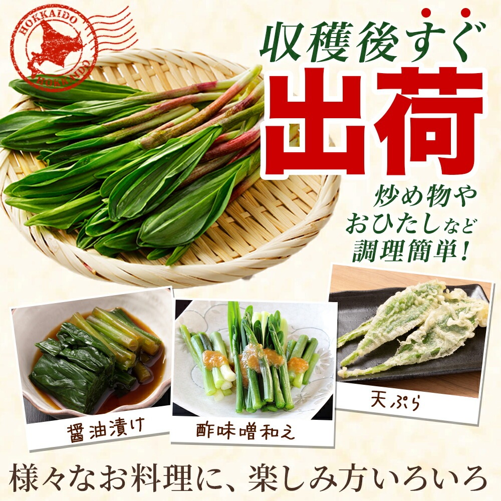 北海道産行者にんにく・・一度は食べたい幻の山菜 生冷蔵500g