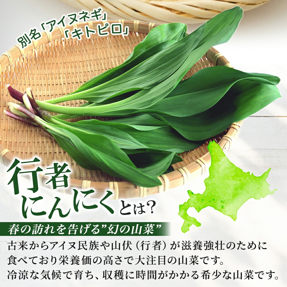 北海道産行者にんにく・・一度は食べたい幻の山菜 生冷蔵500g