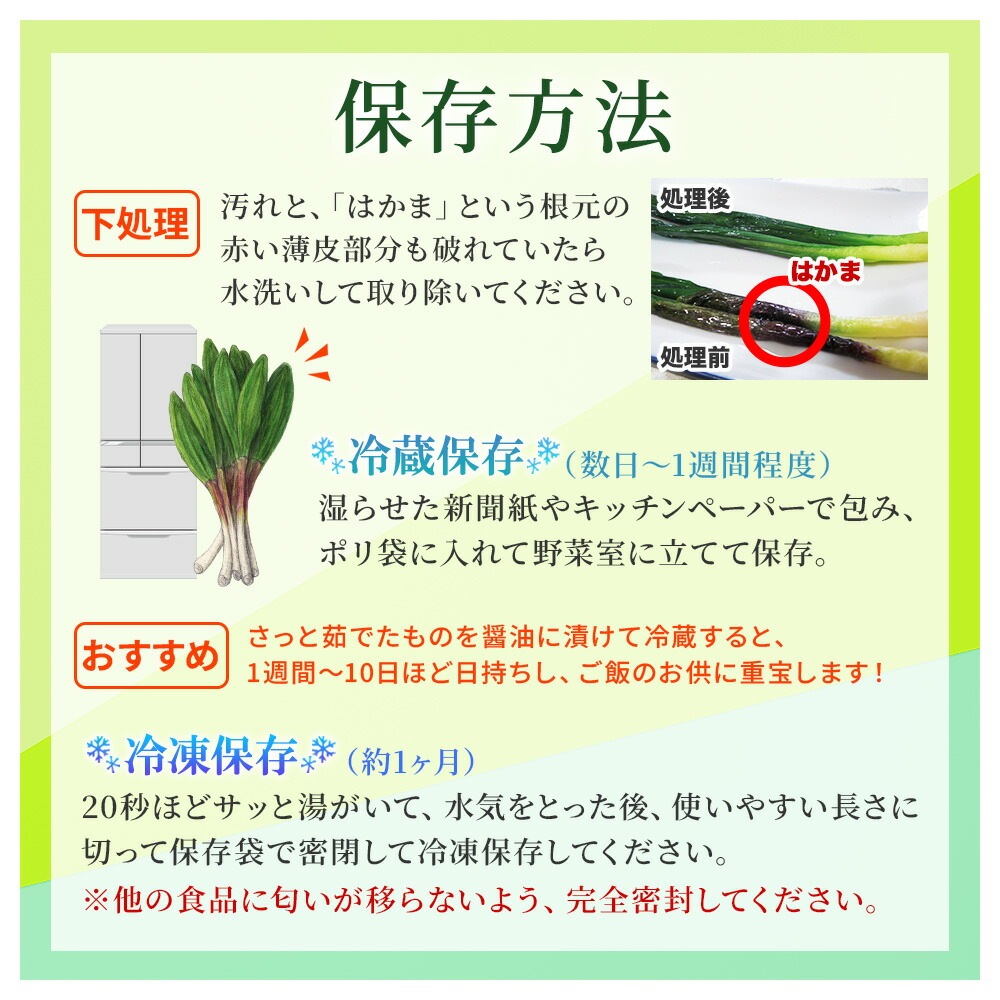 天然の行者ニンニク【通販】｜今注目の山菜を北海道から産地直送