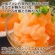   ̳ƻ ͼĥԥ奢꡼15ĥåȡHORI  ꡼  ե ۻ ڻ ﲹ  û8ʹߤϤ̵