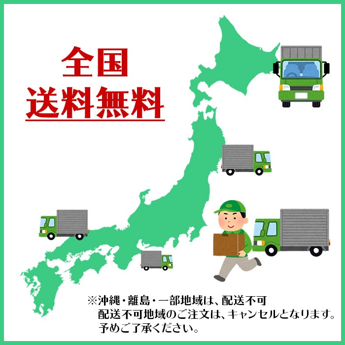   ̳ƻ ͼĥԥ奢꡼6ĥåȡHORI  ꡼  ե ۻ ڻ ﲹ  û8ʹߤϤ̵