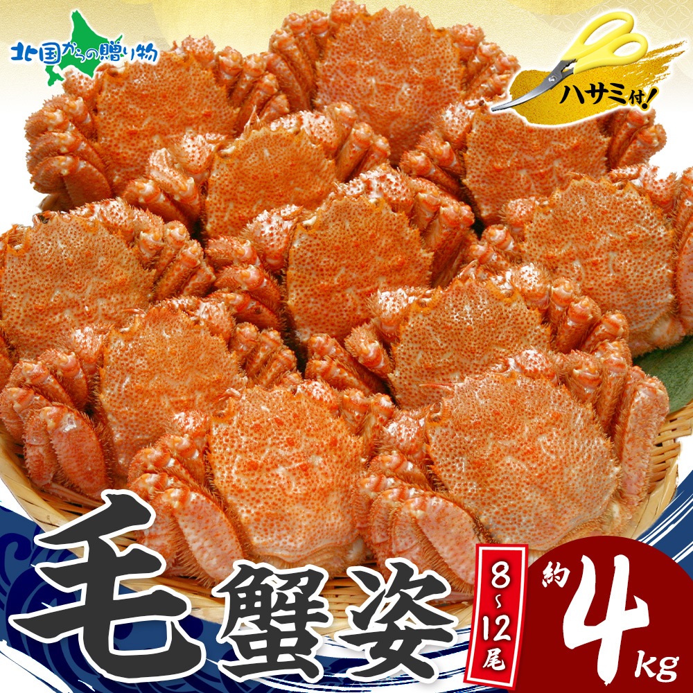 ۥ ӥ   4kg å  ̳/     ӳ  櫓  ̳ƻ ӳ ѡƥ 󤻥   ե Х󥿥 Ťʤ  