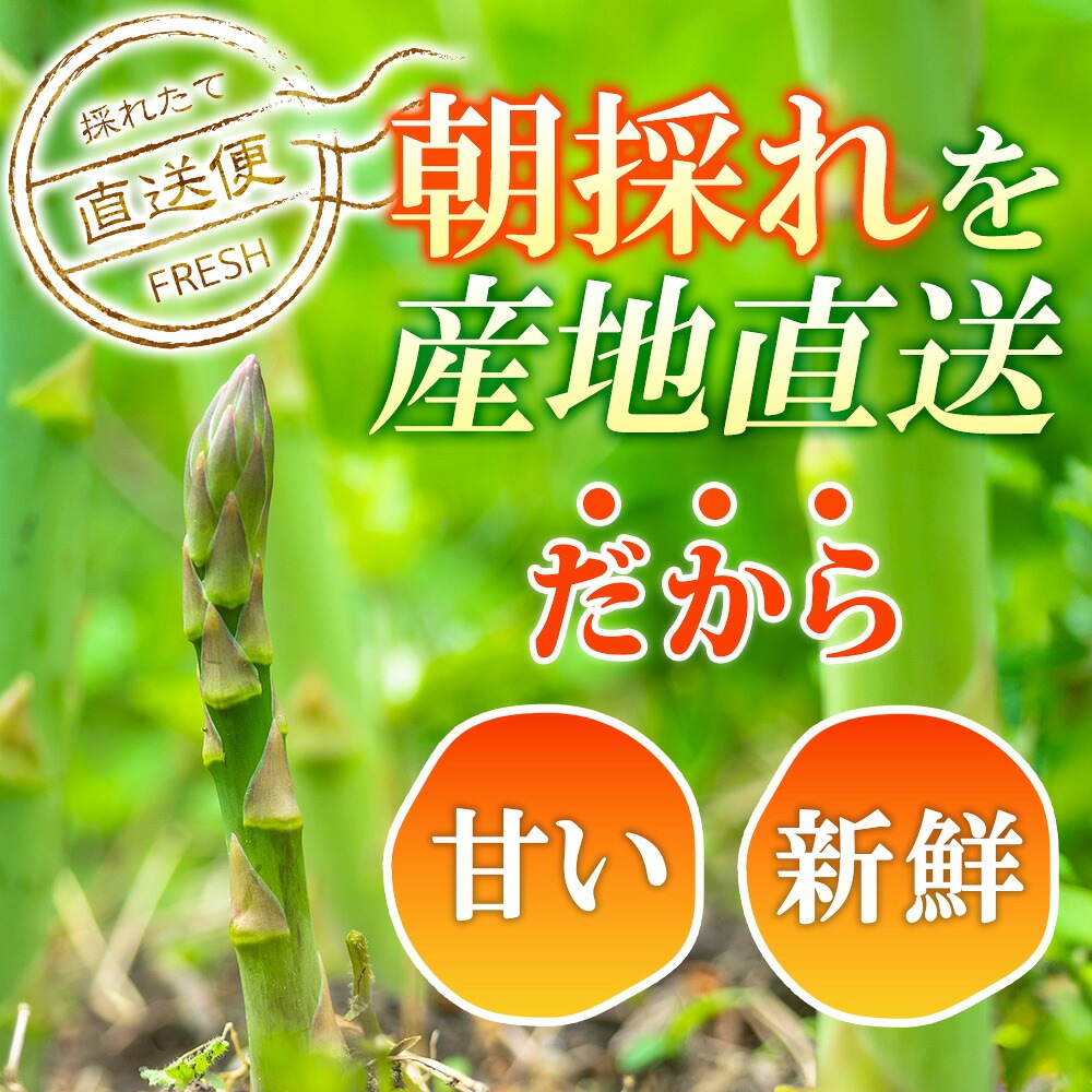 アスパラ｜北海道よりグリーンアスパラお取り寄せ【訳あり】季節限定
