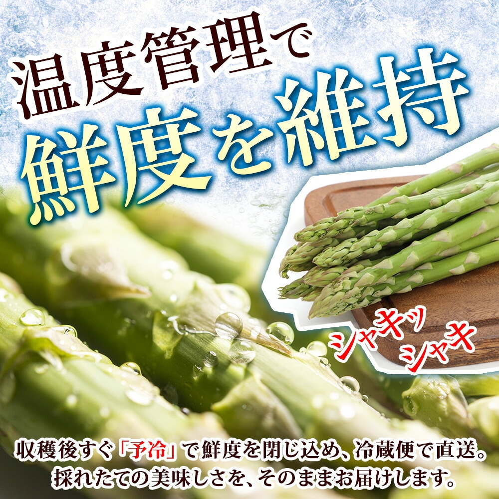 アスパラ｜北海道よりグリーンアスパラお取り寄せ【訳あり】季節限定