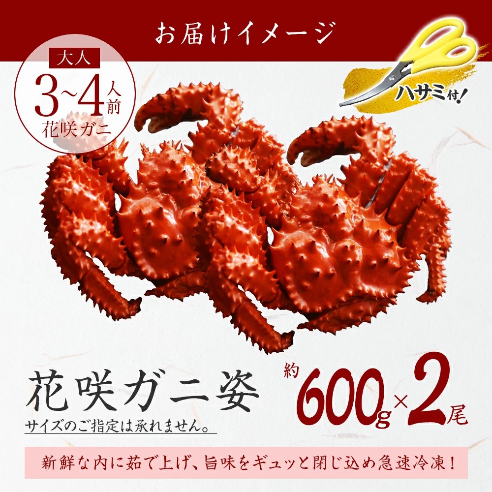 22_000000000432.jpg?1764639696