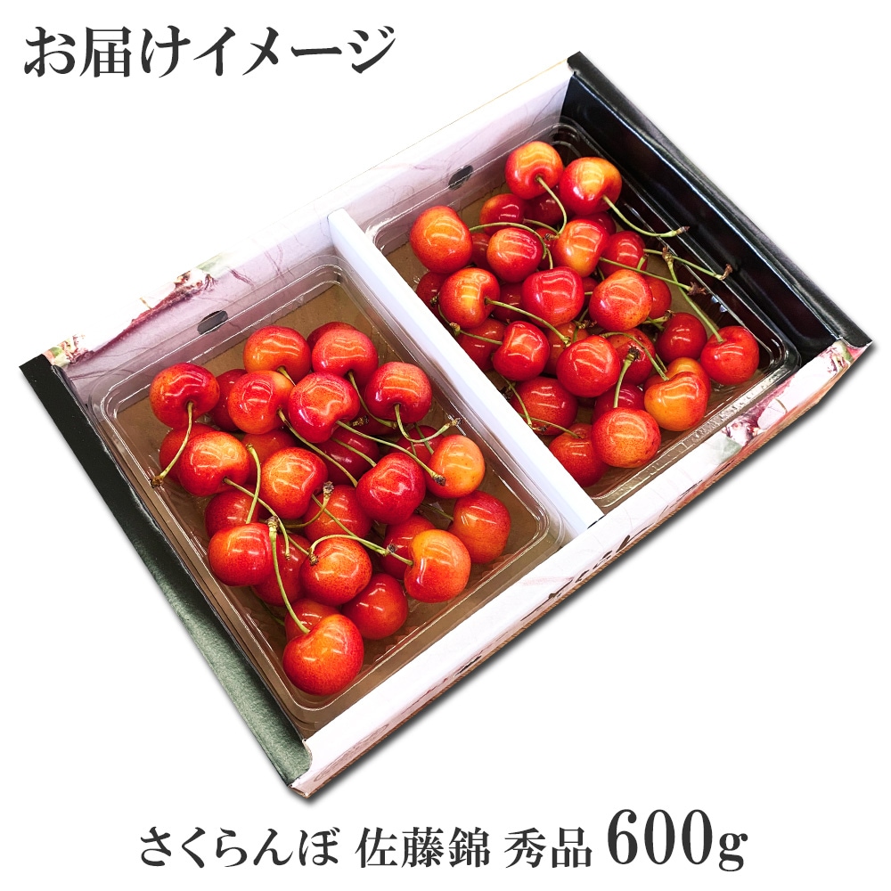 山形のさくらんぼ通販｜佐藤錦（秀品）300g ギフト対応OK