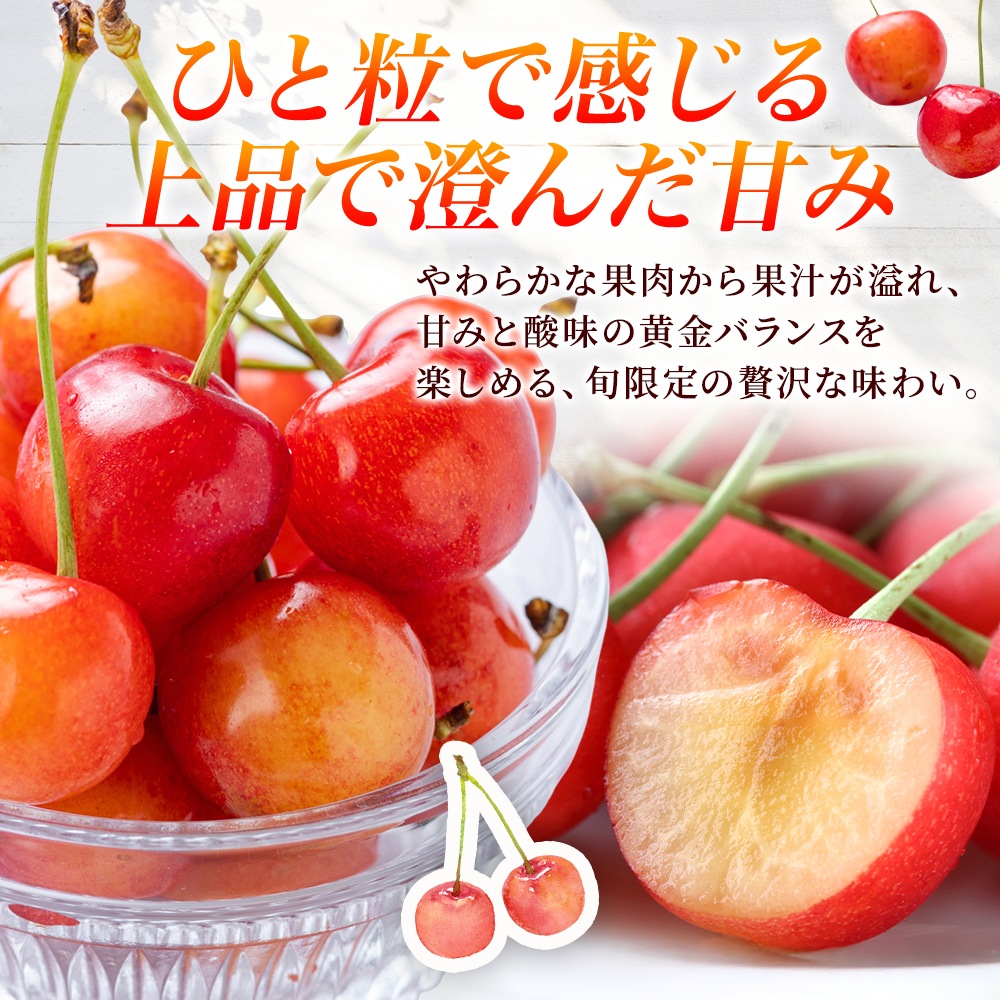 山形のさくらんぼ通販｜佐藤錦（秀品）300g ギフト対応OK