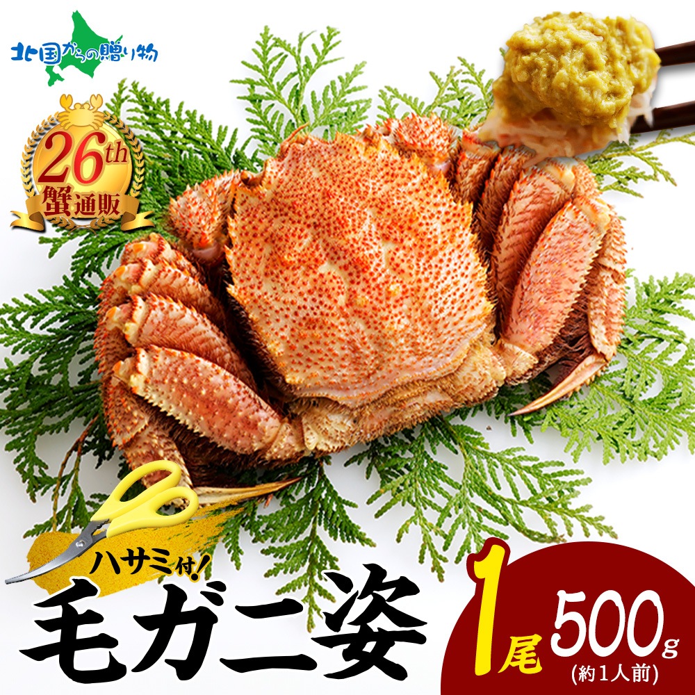 ڥեȡۥ ܥ ӳ 500g ե  ץ쥼  ӥ ̳ƻ   Ӥ ӳ ܥ  ̣ ˤߤ  ̣   ʪ ե    渵   渵  gift