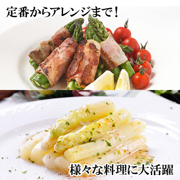 ̳ƻ ѥ饬 2٥å 900gʥ꡼600gܥۥ磻300gˡ̵вͽꡧ5/19-6/10 Բ Բ