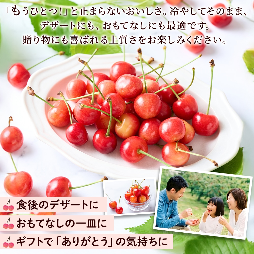 秀品】山形県産さくらんぼ佐藤錦 L玉1kg｜ギフトに！送料無料