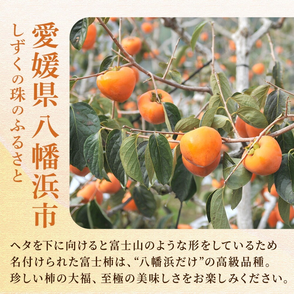 しずく珠 富士柿大福 ギフトセット 6個入り フルーツ大福 愛媛県