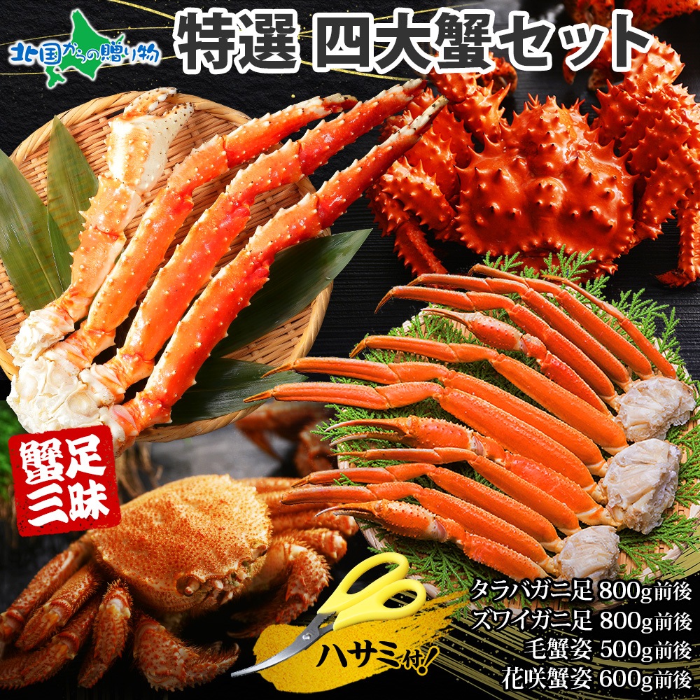  糪åȡӥ 磻 Х ֺ鳪˥ʡ Ӥ ӳ 襤 磻 г г  å ֺ饬    ʡ å  ץ쥼       ƣ建 ̵